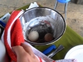 SAM_7310.MP4.Image fixe001a