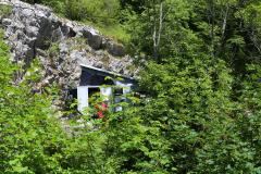 IMG_0901-Copy