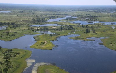 27: Maun, le Delta Okavango et « Hello, tango ggroadtrip, hello, tango ggroadtrip, répondez nous vous cherchons »!