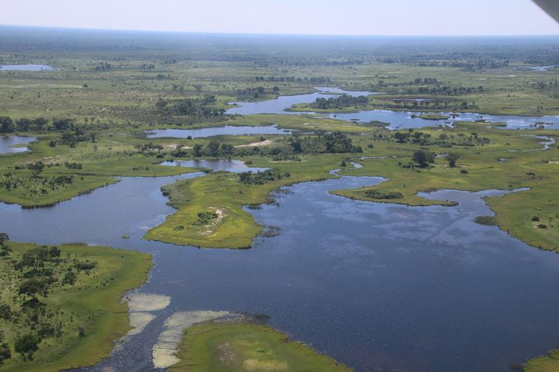 27: Maun, le Delta Okavango et « Hello, tango ggroadtrip, hello, tango ggroadtrip, répondez nous vous cherchons »!