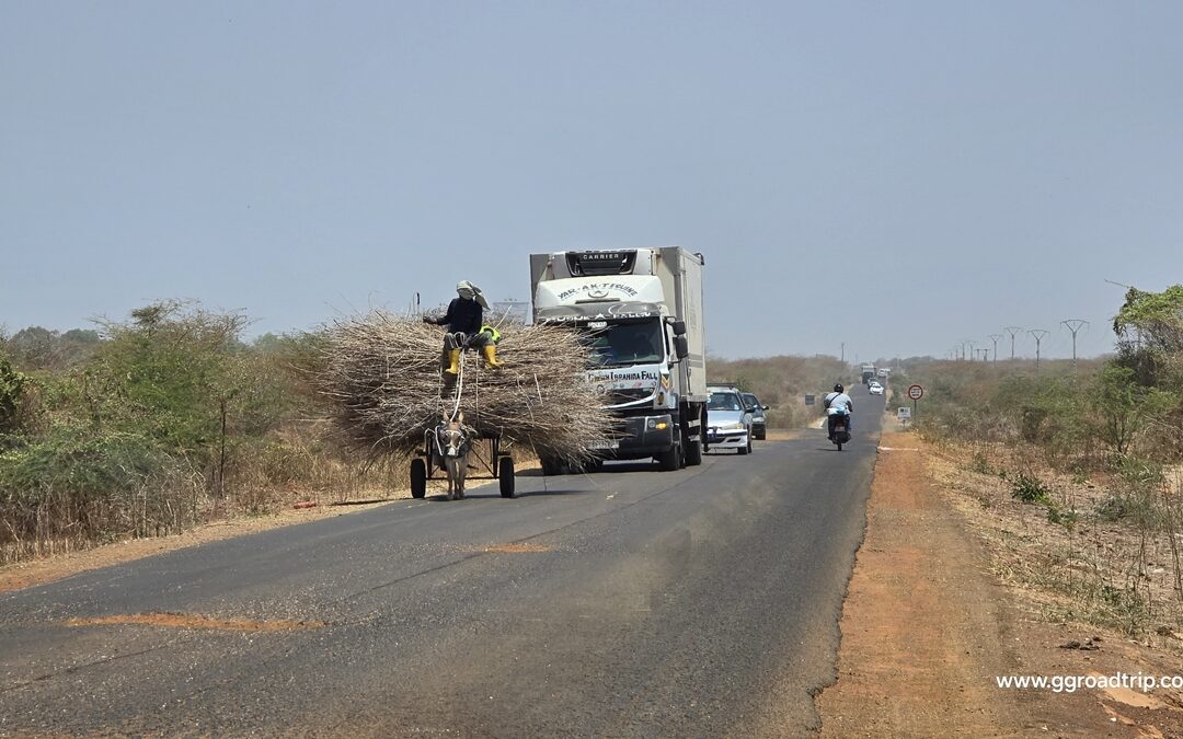 81 – ggroadtrip – SÉNÉGAL