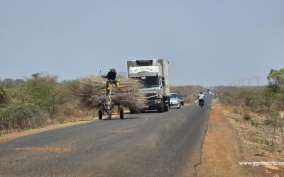 81 – ggroadtrip – SÉNÉGAL